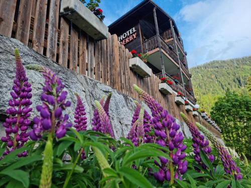 Fiesch Hotel | Hotel Derby