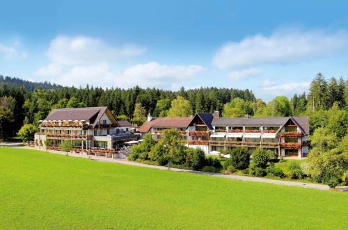 Lauterbad Hotel | Hotel Grüner Wald
