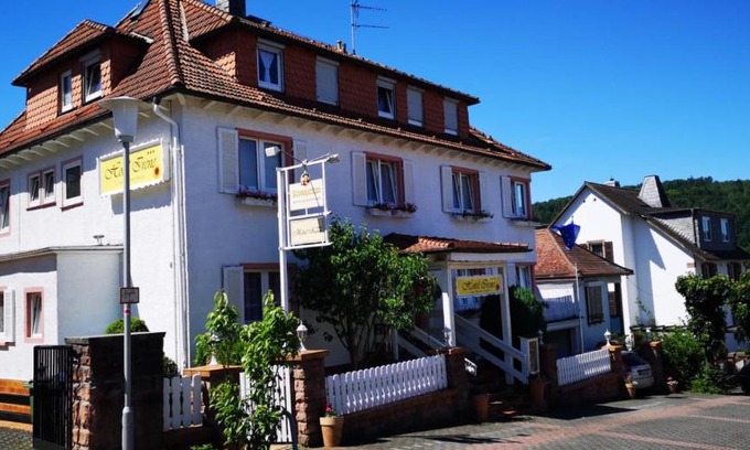 Bad Konig Hotel | Hotel Irene