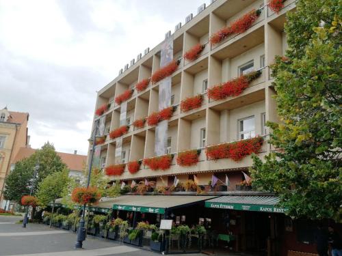Kaposvar Hotel | Hotel Kapos