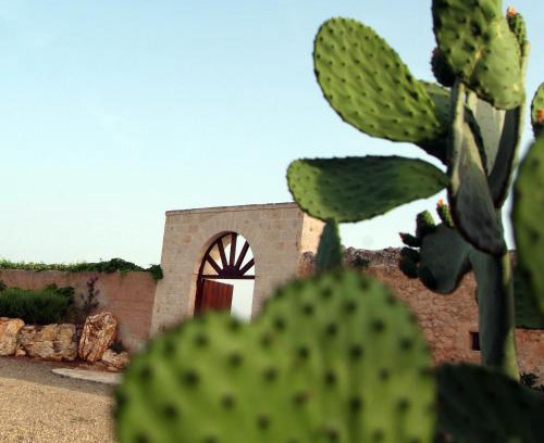 Rosa Marina Hotel | Hotel Masseria Tutosa