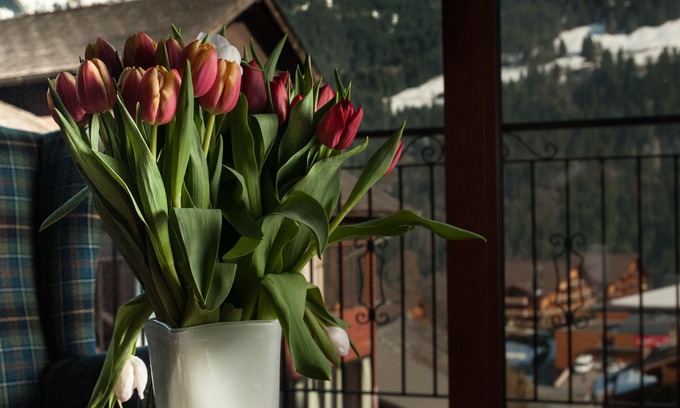 Champery Hotel | Hotel Suisse