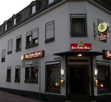 Mayen House | Hotel zum dicken Baum