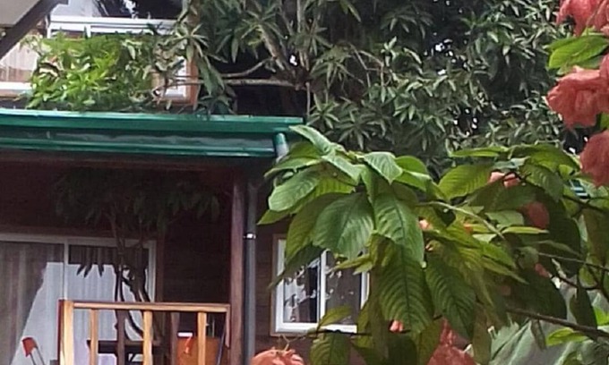 Kribi Cabin | Hut in the old Mangoo tree . Breakfast incl