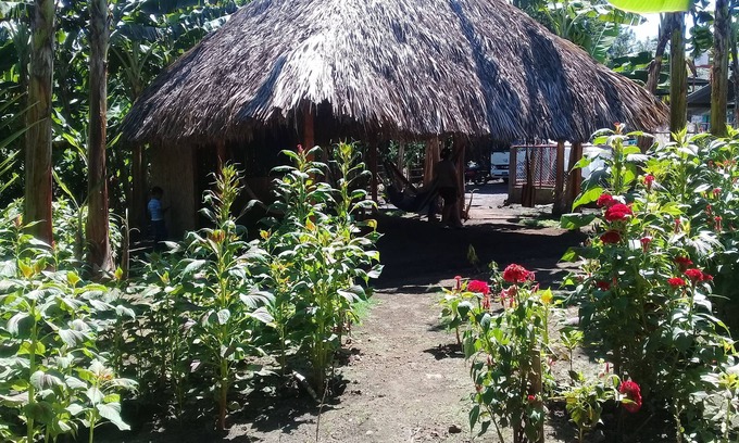 Ometepe Island Hotel | Inn Hospedaje BullShark