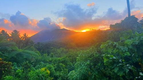Tanna Island Bed & Breakfast | island paradise bungalows
