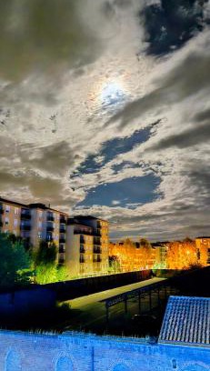Alessandria Apartment | Jungle Sunshine Apartment
