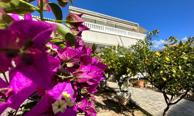 Spetses Hotel | Kamelia Hotel