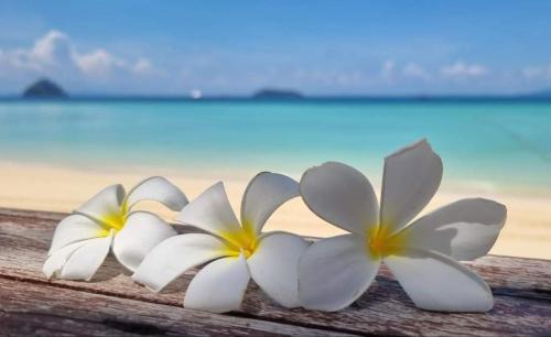 Antsiranana Bed & Breakfast | Karibokite
