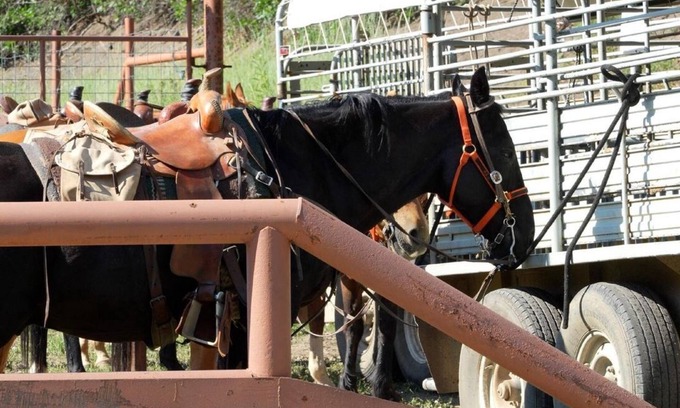 Pagosa Springs Hotel | Keyah Grande: Estate & Event Rental