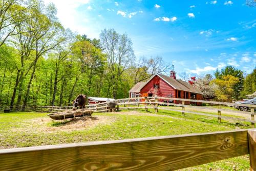 Ballouville Apartment | Killingly Barnyard Studio in Wine Country!