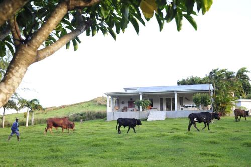 Rodrigues Island House | Létan Lontan