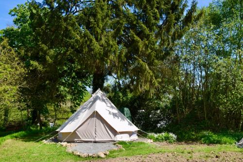 Saint-Mars-sur-la-Futaie Other | L'Angeberdière - Tente nature au calme