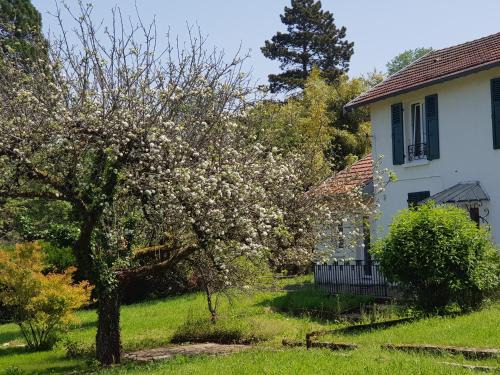 Besancon Apartment | La Petite Sommière