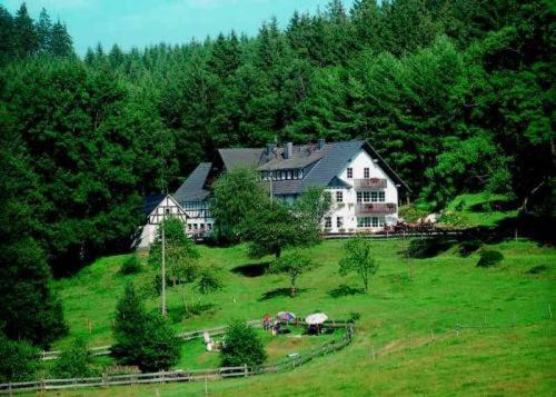 Kirchhundem Hotel | Landgasthof Cafe Gut Ahe