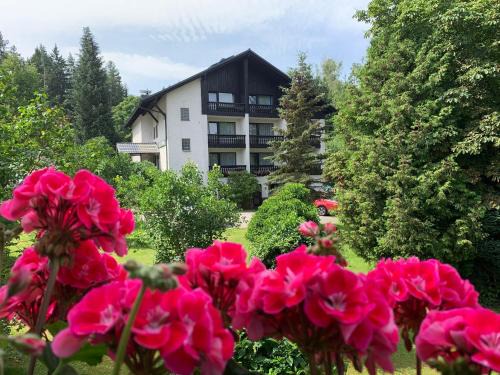 Bad Alexandersbad Hotel | Landhaus Am Forst