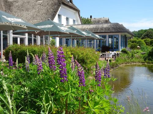 Putbus Hotel | Landhotel Kastanienallee Putbus