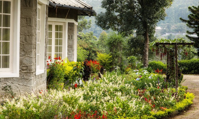Devikolam Cabin | Lockhart Bungalow Munnar CGH Earth