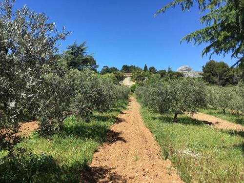 Aubagne House | Logement Provence dans domaine oléicole