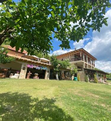 Vintu de Jos House | Maia Dorului