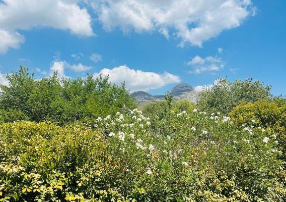 Aubagne House | Maison de charme au pied du Garlaban