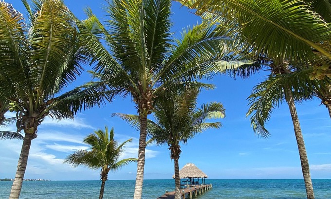 Placencia Hotel | Maya Beach Hotel