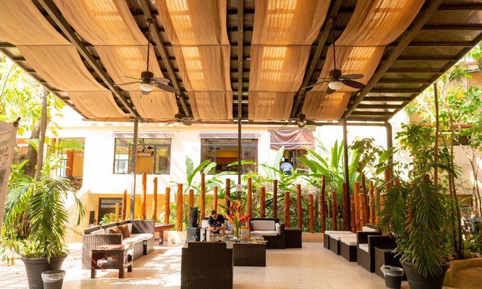 Palenque Hotel | Maya Tulipanes Express