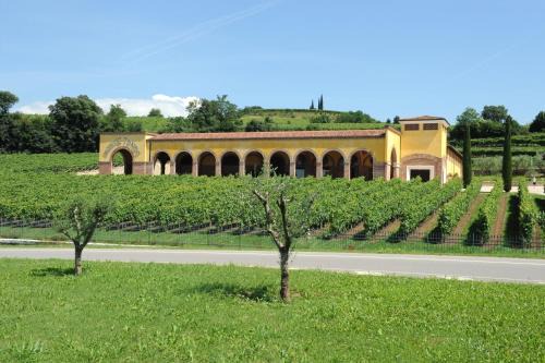 Soave House | Monte Tondo Winery