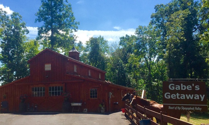 Broadway Apartment | Mountain View’s, Friendly Animals and Fun by the Pond
