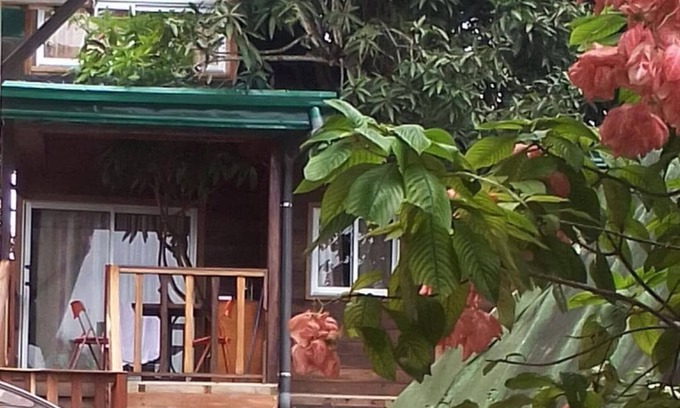 Kribi Cabin | Noah Treehouse Families 2 Bedrooms (4) B&B