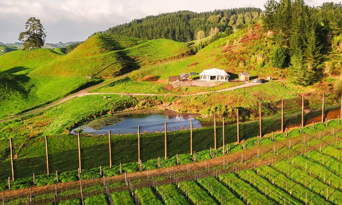 Otorohanga RV Rental | Orchard Valley, Waitomo Boutique Glamping