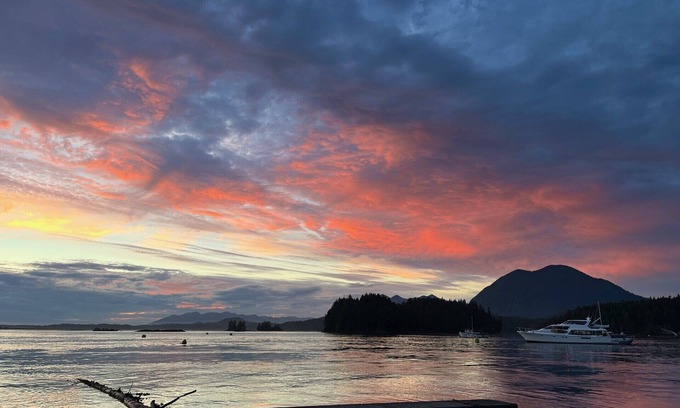Tofino Boat Rental | Paradise On The Water Just 4 Minutes Across By Our Boat From Downtown Tofino!