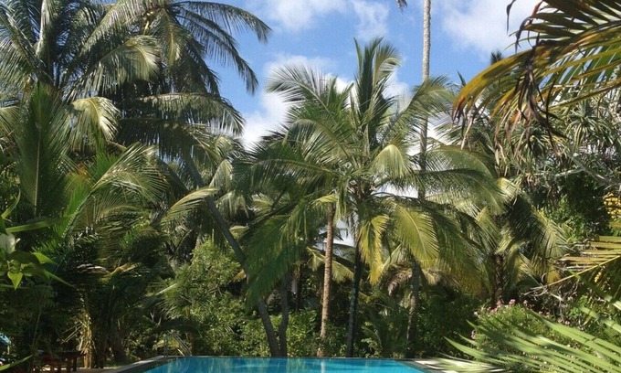 Medaketiya House | Peaceful position with a 13meter fresh water swimming pool
