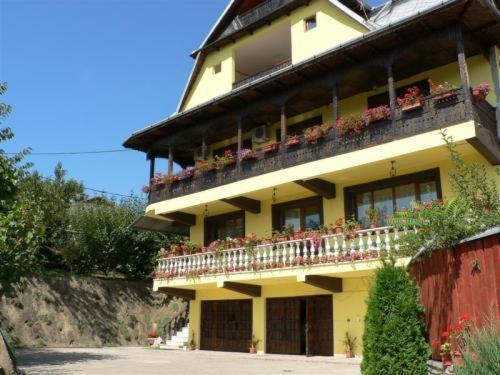 Iasi House | Pension Garofita