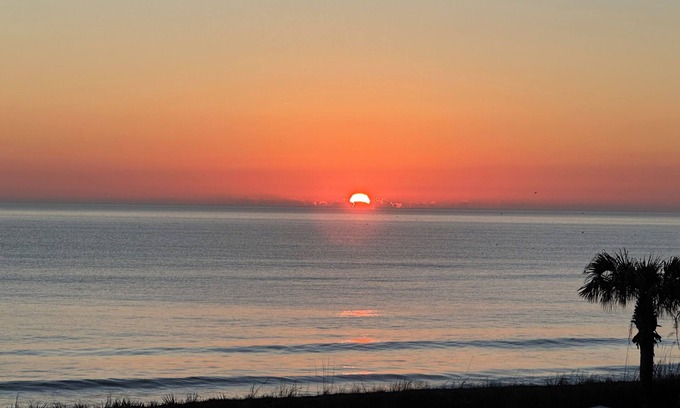 Palm Coast Condo | Pet Free/Allergy Friendly - Huge Direct Oceanfront 3BR/3BA Condo - Owner Managed