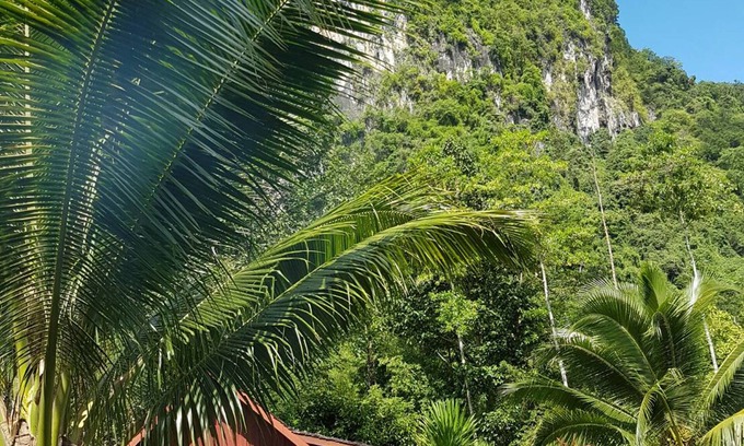 Krabi Hotel | Phanom Bencha Mountain Resort