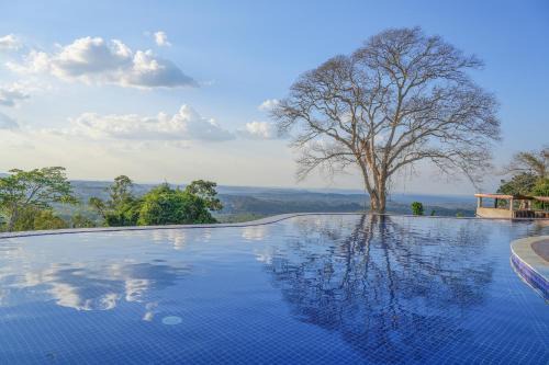 Sen Monorom Cabin | PIDA COFFEE FARM LODGE