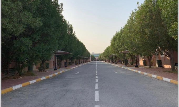 Doha Villa | pink villa