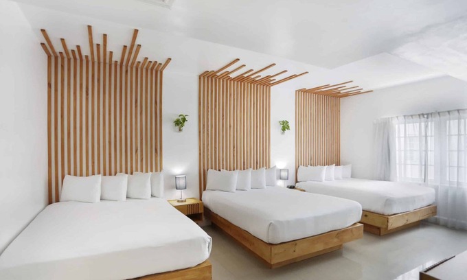 City Center Hotel | Prime Location! 2 Comfortable Units, Garden, Short Drive to Lincoln Road