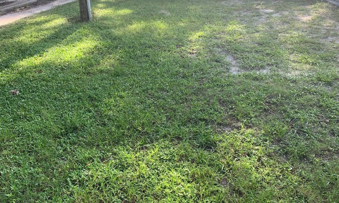 Zephyrhills West RV Rental | Private RV LOT available in enchanting Zephyrhills with WiFi access