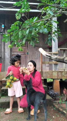 Ban Lung Cabin | Ratanakiri Farmhouse & Trekking
