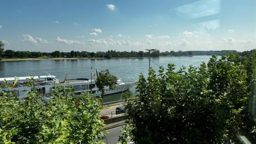 Mainz-Bingen Hotel | Rhein-Hotel Nierstein