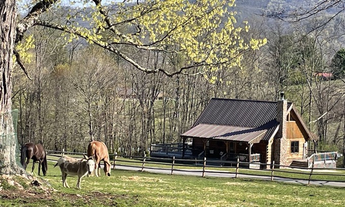 Dryfork Cabin | Romantic "Morning Glory” for 2 has a tranquil setting across from a horse farm!