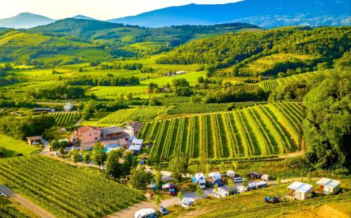 Zalosce Other | Saxida Wine & Camping Resort Pitches
