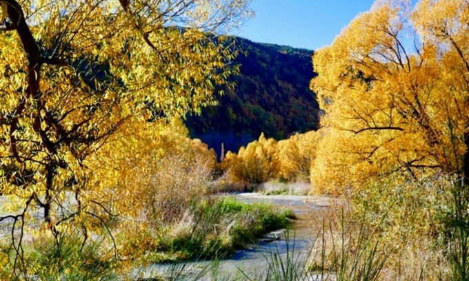 Arrowtown Hotel | Shades of Arrowtown