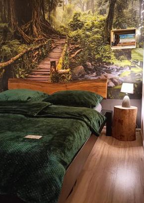 Ladek-Zdroj Apartment | Siedlisko Czarny Kot
