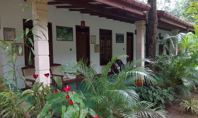 Sigiriya Cabin | Sigiri Jungle Villa