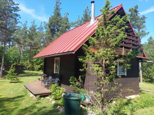Saaremaa House | Sinilille suvemaja saunaga