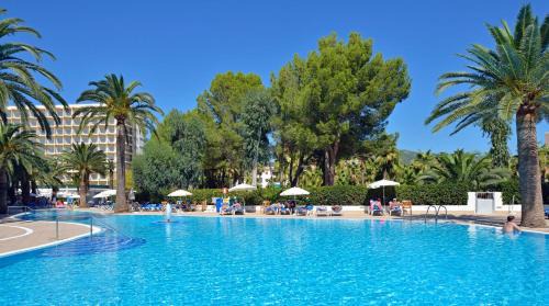 Palmanova Hotel | Sol Palmanova Mallorca