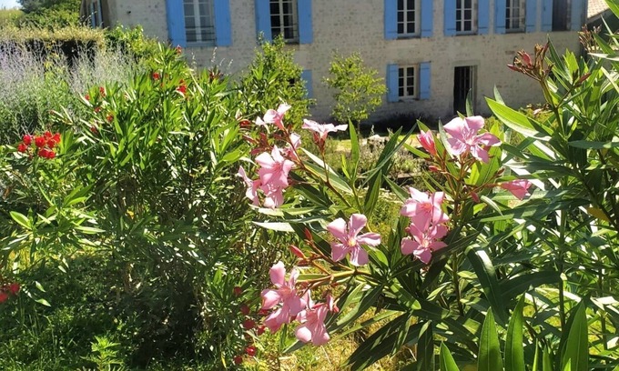Saint-Georges-des-Agouts Other | Spacious, recently converted Charentais farmhouse in small commune